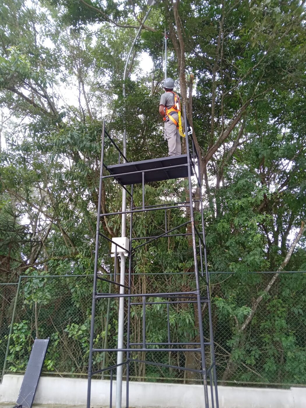 Antes e depois de aparar árvore na Mooca