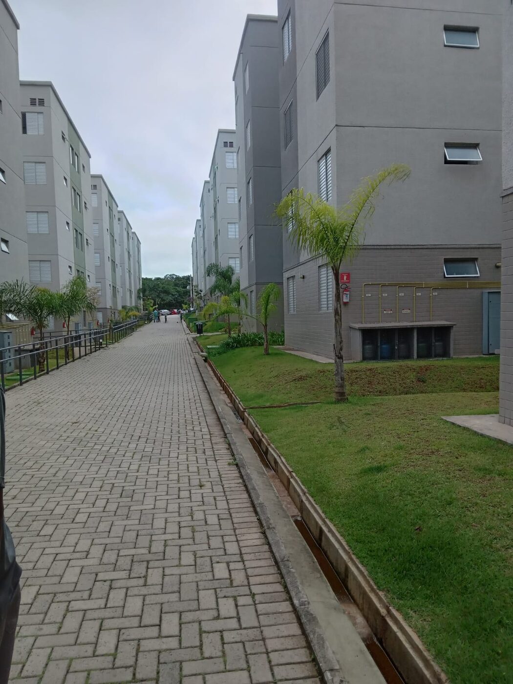 Corte de grama em Cotia: resultado do serviço