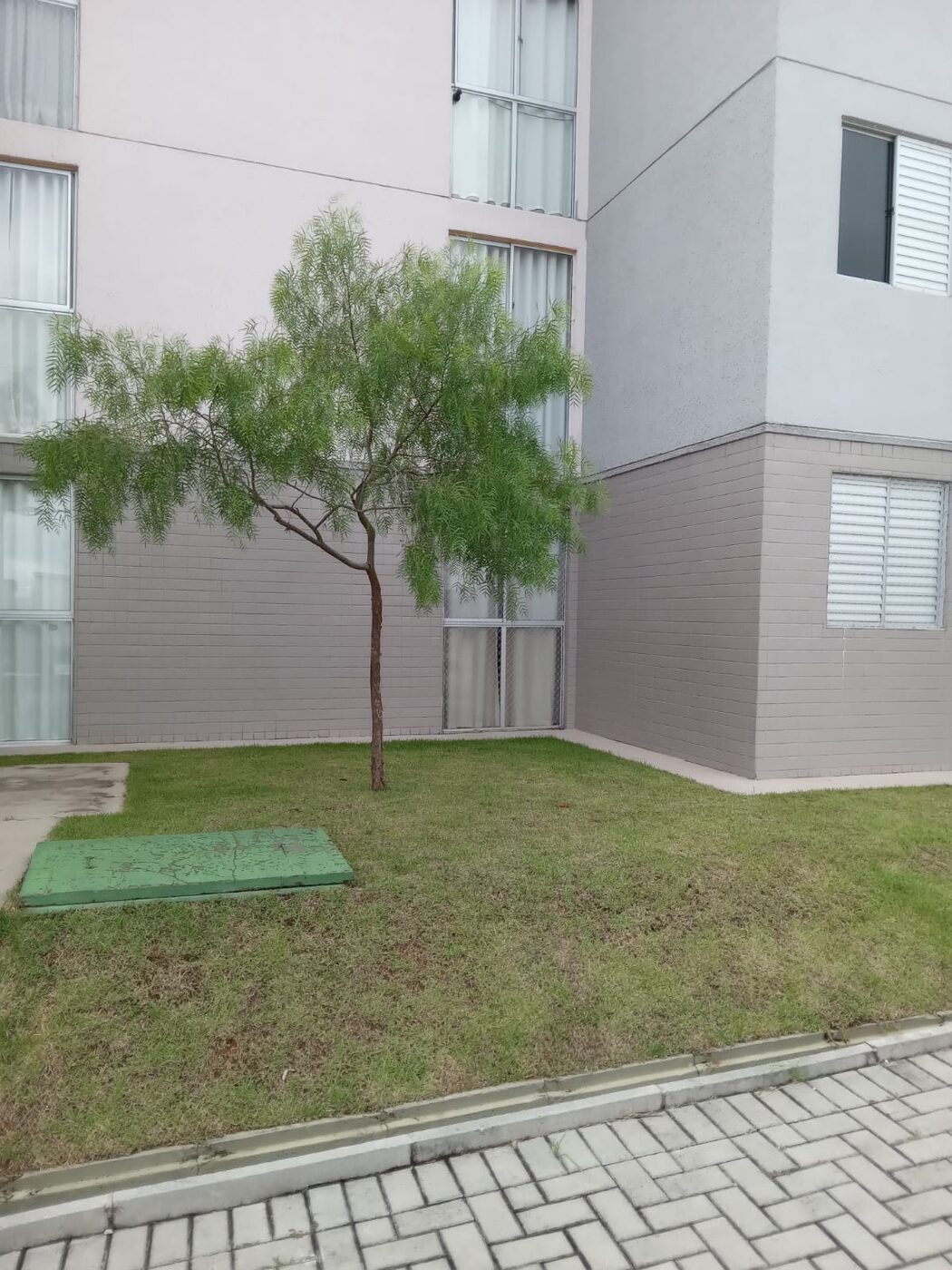 Corte de grama no Itaim Bibi em imóvel residencial