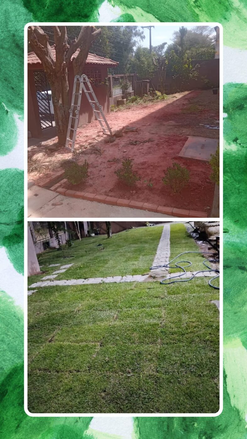 Grama-amendoim em Santana em imóvel residencial