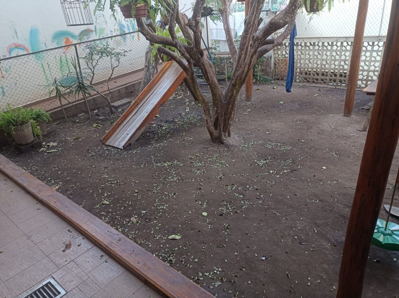 Grama-amendoim em Santo Amaro: resultado do serviço