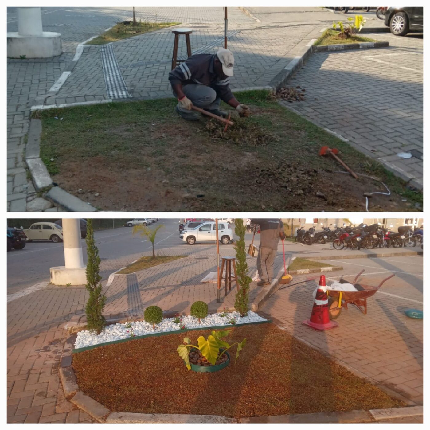 Detalhe do acabamento de grama-amendoim em Taboão da Serra