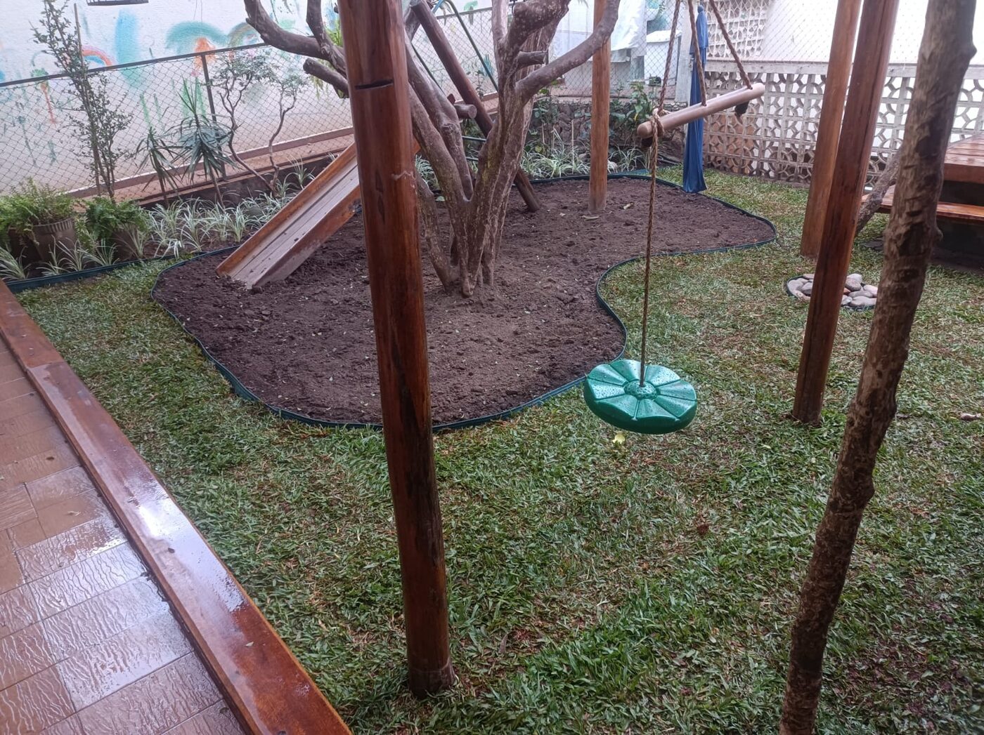 Antes e depois de grama-amendoim na Vila Mariana