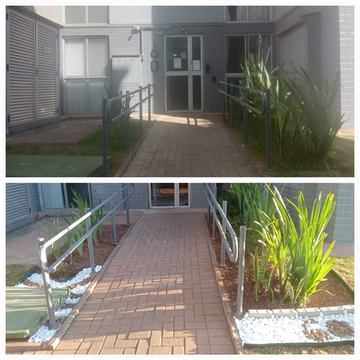 Antes e depois de grama-amendoim na Vila Olímpia