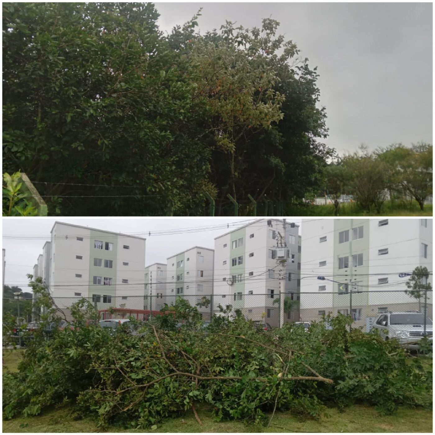 Equipe fazendo jardineiro na Vila Nova Conceição