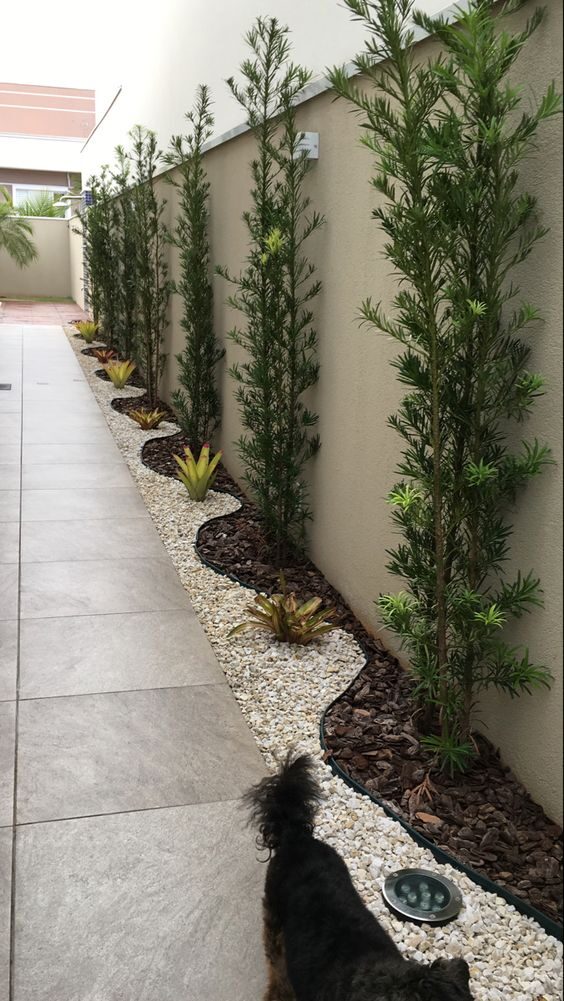 Jardineiro perto de mim em Cerqueira César em imóvel residencial