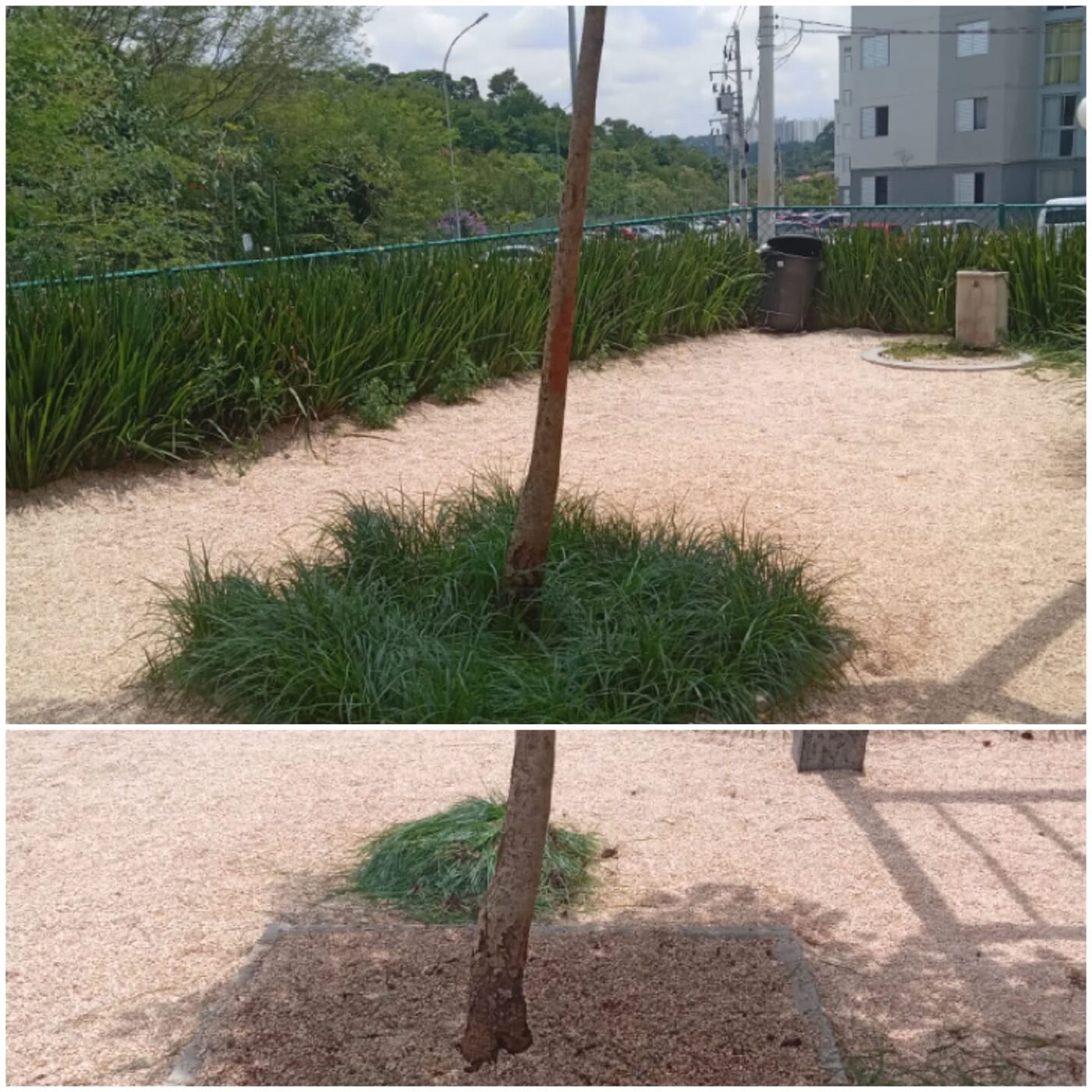 Equipe fazendo jardineiro perto de mim na Vila Mariana