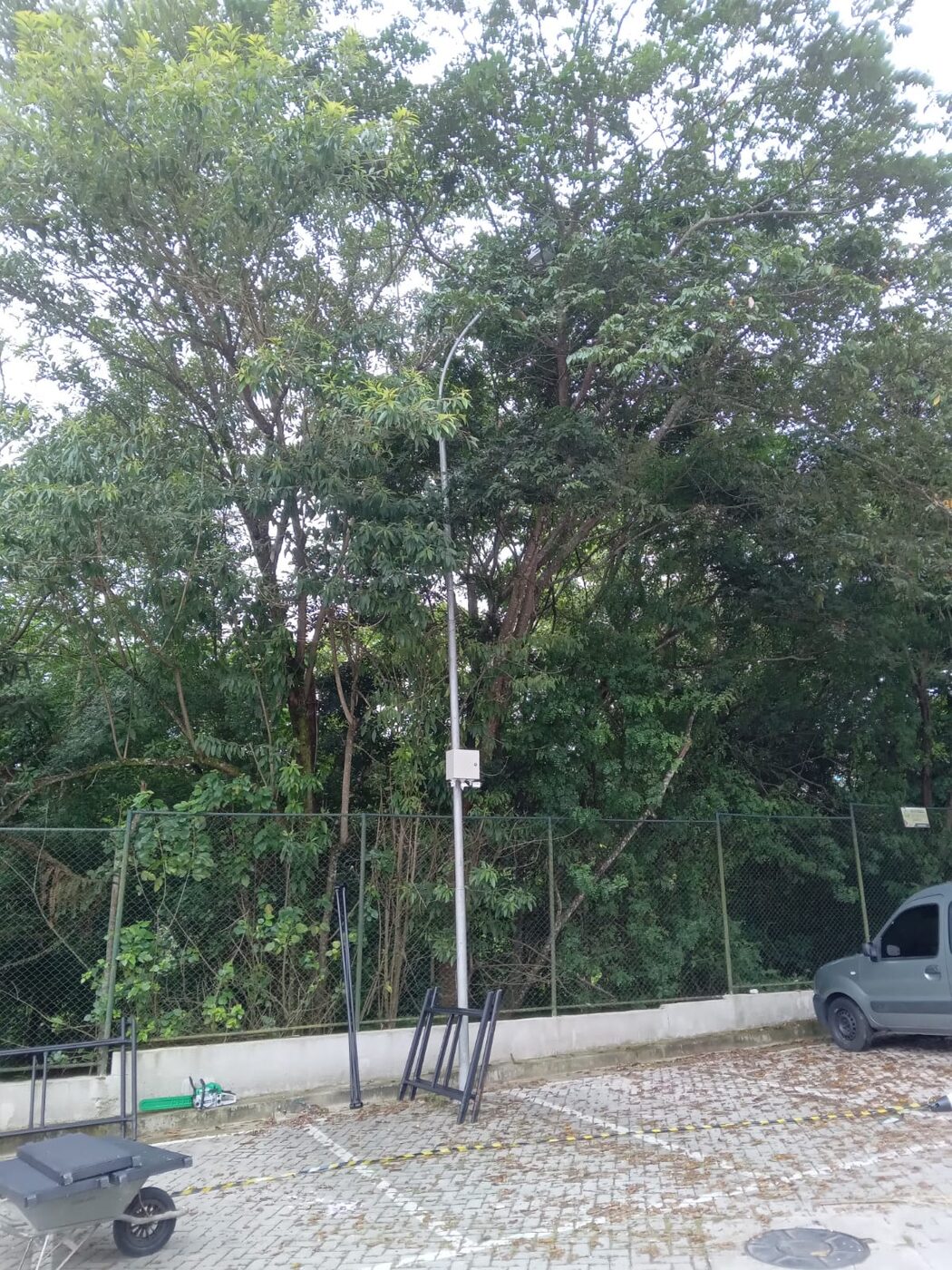 Limpeza de grama em Cajamar: resultado do serviço