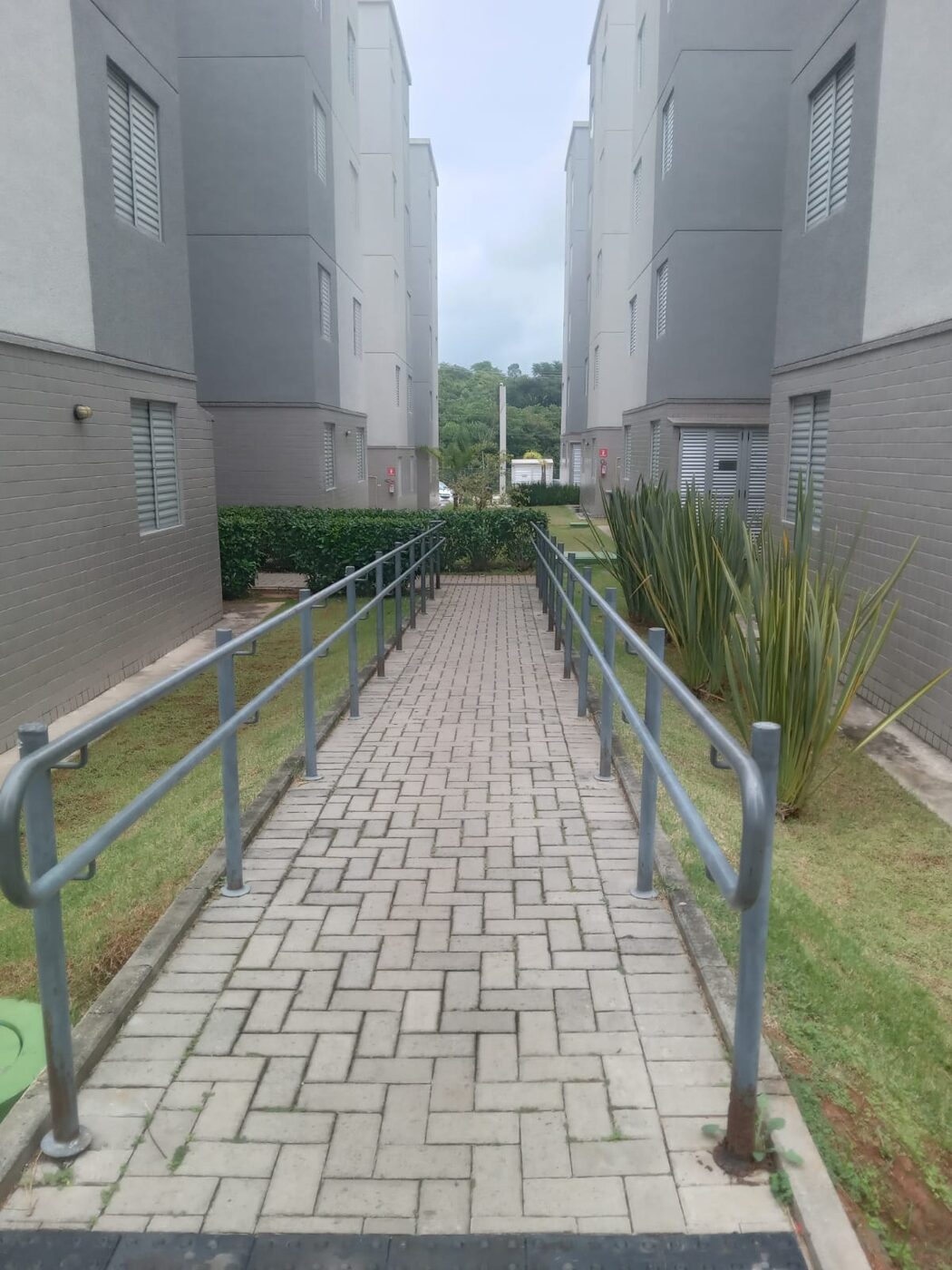 Limpeza de grama no Panamby em imóvel residencial