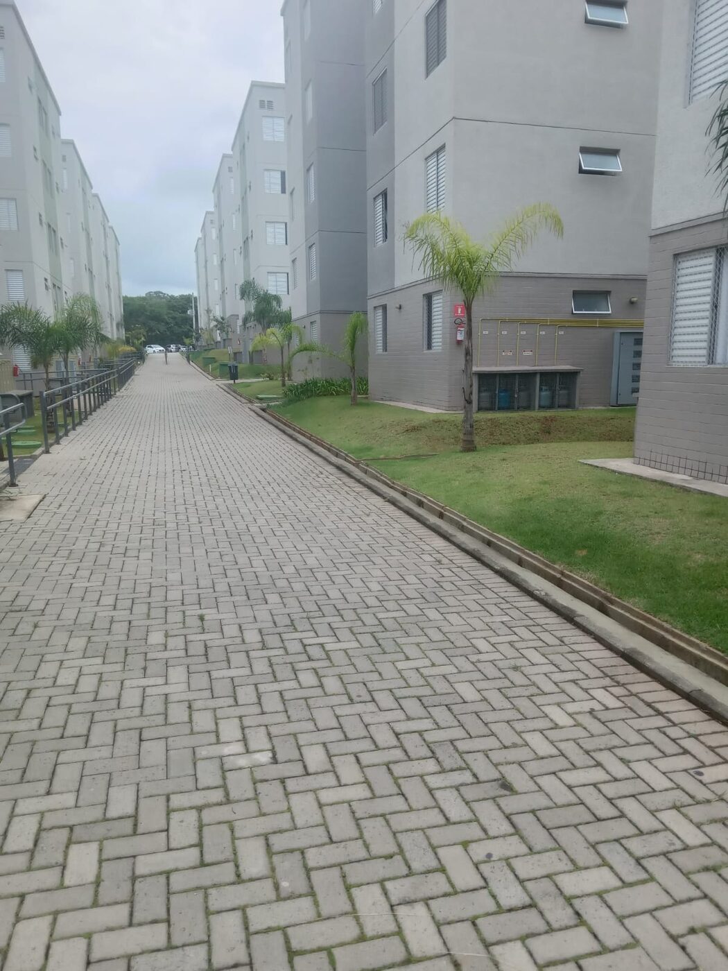 Limpeza de mato na Chácara Santo Antônio em imóvel residencial
