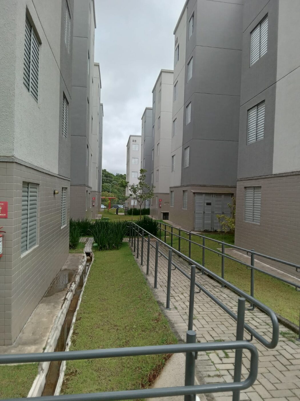 Detalhe do acabamento de manutenção de grama no Morumbi