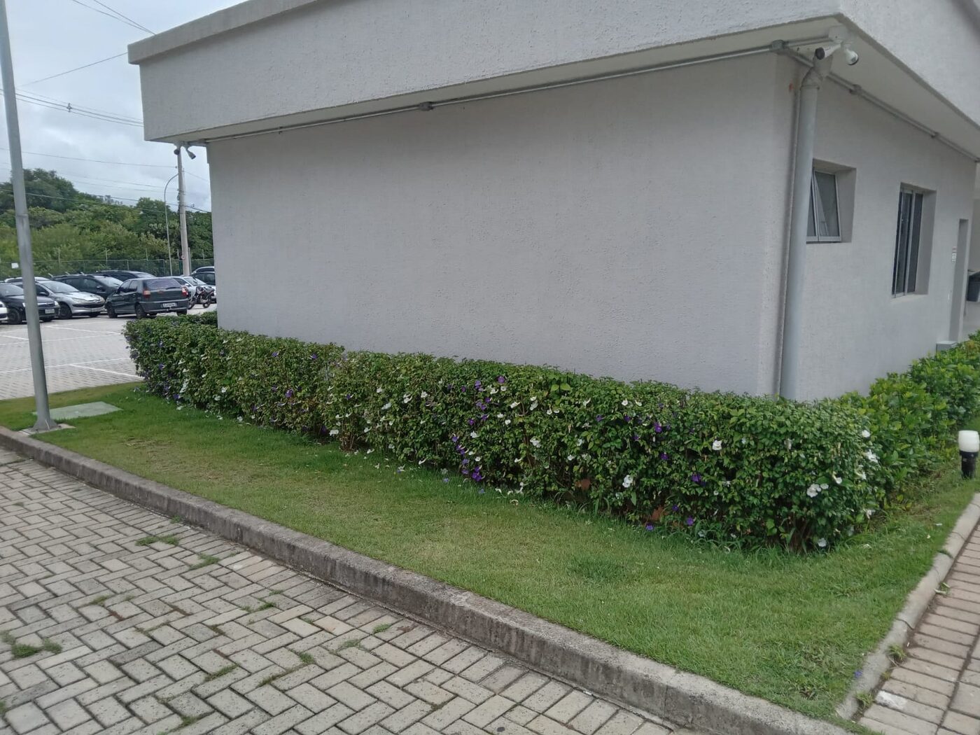 Detalhe do acabamento de manutenção de gramado em Diadema