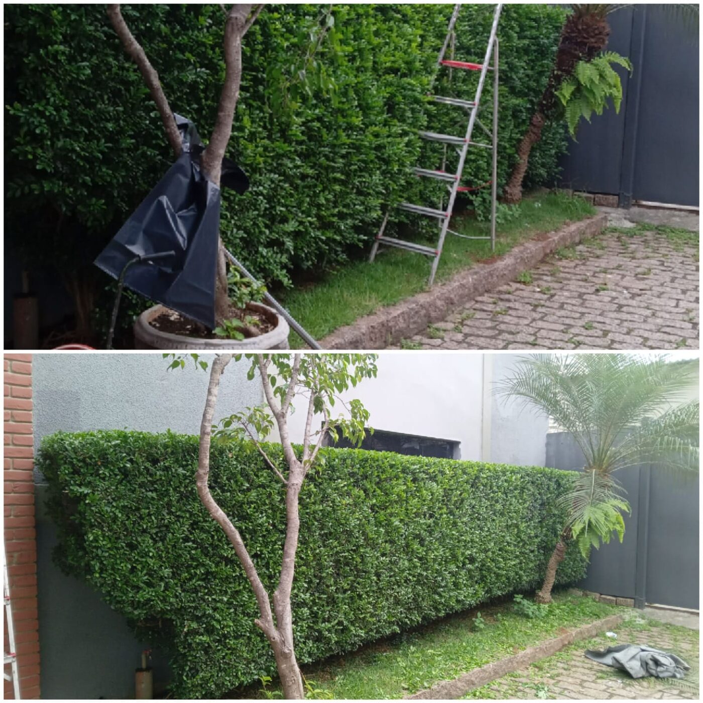 Detalhe do acabamento de matar trepadeira em Higienópolis