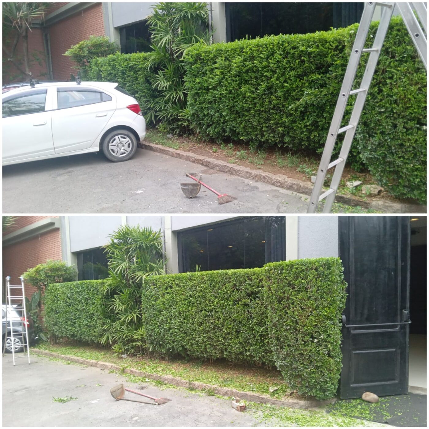 Equipe fazendo poda de árvores no Paraíso