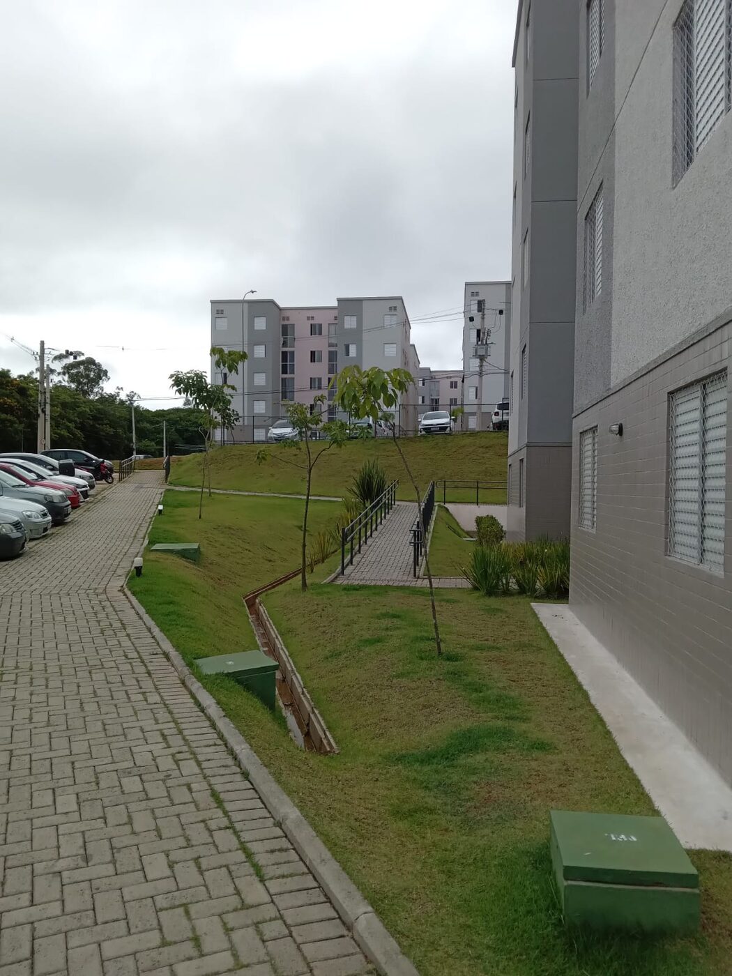 Detalhe do acabamento de poda de plantas em Jandira
