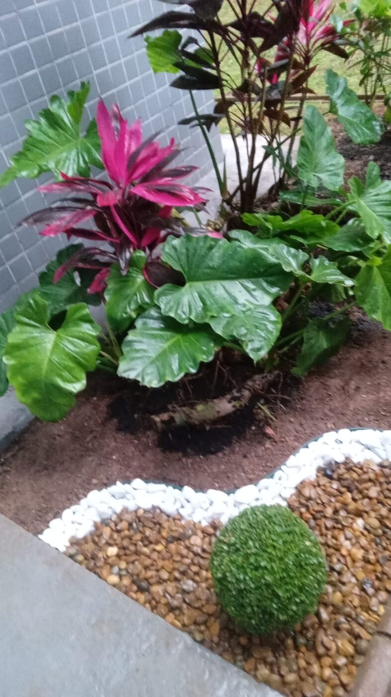 Detalhe do acabamento de reforma de jardim em Embu das Artes